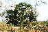  ( - RL1271)  @11 [ ] Unspecified (default): All Rights Reserved  Unspecified Unspecified