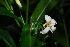  (Kraussia - OM0216)  @11 [ ] Unspecified (default): All Rights Reserved  Unspecified Unspecified