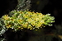  ( - OM_MvdB48)  @11 [ ] Unspecified (default): All Rights Reserved  Unspecified Unspecified