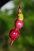  ( - OM0233)  @11 [ ] Unspecified (default): All Rights Reserved  Unspecified Unspecified