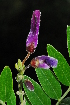  ( - OM0338)  @11 [ ] Unspecified (default): All Rights Reserved  Unspecified Unspecified