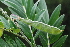  ( - OM0338)  @11 [ ] Unspecified (default): All Rights Reserved  Unspecified Unspecified