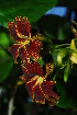  ( - RBN253)  @11 [ ] Unspecified (default): All Rights Reserved  Unspecified Unspecified