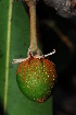  ( - OM_MvdB50)  @11 [ ] Unspecified (default): All Rights Reserved  Unspecified Unspecified