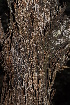  ( - OM0269)  @11 [ ] Unspecified (default): All Rights Reserved  Unspecified Unspecified
