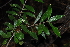  ( - OM0269)  @11 [ ] Unspecified (default): All Rights Reserved  Unspecified Unspecified