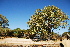  ( - OM1012)  @11 [ ] Unspecified (default): All Rights Reserved  Unspecified Unspecified