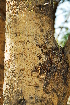  ( - OM1029)  @11 [ ] Unspecified (default): All Rights Reserved  Unspecified Unspecified