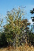  ( - OM1029)  @11 [ ] Unspecified (default): All Rights Reserved  Unspecified Unspecified