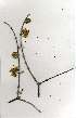  ( - OM1042)  @11 [ ] Copyright  - Unspecified