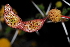  ( - OM1050)  @11 [ ] Unspecified (default): All Rights Reserved  Unspecified Unspecified