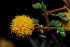  ( - OM1050)  @11 [ ] Unspecified (default): All Rights Reserved  Unspecified Unspecified