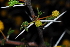  ( - OM1050)  @13 [ ] Unspecified (default): All Rights Reserved  Unspecified Unspecified