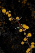  ( - OM1050)  @13 [ ] Unspecified (default): All Rights Reserved  Unspecified Unspecified