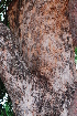  ( - OM1249)  @11 [ ] Unspecified (default): All Rights Reserved  Unspecified Unspecified