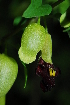  ( - OM1303)  @11 [ ] Unspecified (default): All Rights Reserved  Unspecified Unspecified