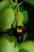 ( - OM1303)  @11 [ ] Unspecified (default): All Rights Reserved  Unspecified Unspecified