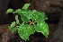  ( - OM1354)  @11 [ ] Unspecified (default): All Rights Reserved  Unspecified Unspecified