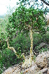  ( - OM1354)  @11 [ ] Unspecified (default): All Rights Reserved  Unspecified Unspecified