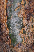  ( - OM1361)  @11 [ ] Unspecified (default): All Rights Reserved  Unspecified Unspecified