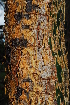  ( - OM1361)  @11 [ ] Unspecified (default): All Rights Reserved  Unspecified Unspecified