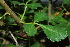  ( - OM1361)  @11 [ ] Unspecified (default): All Rights Reserved  Unspecified Unspecified