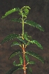  ( - OM1399)  @11 [ ] Unspecified (default): All Rights Reserved  Unspecified Unspecified