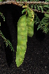  ( - OM1402)  @11 [ ] Unspecified (default): All Rights Reserved  Unspecified Unspecified