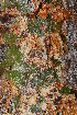  ( - OM1415)  @11 [ ] Unspecified (default): All Rights Reserved  Unspecified Unspecified
