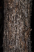  ( - OM1423)  @11 [ ] Unspecified (default): All Rights Reserved  Unspecified Unspecified