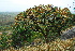  ( - OM1428)  @11 [ ] Unspecified (default): All Rights Reserved  Unspecified Unspecified