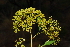  ( - OM1430)  @11 [ ] Unspecified (default): All Rights Reserved  Unspecified Unspecified