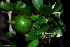  ( - OM1457)  @11 [ ] Unspecified (default): All Rights Reserved  Unspecified Unspecified