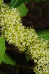  ( - OM1469)  @11 [ ] Unspecified (default): All Rights Reserved  Unspecified Unspecified