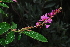  ( - OM1473)  @11 [ ] Unspecified (default): All Rights Reserved  Unspecified Unspecified