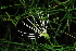  ( - OM1476)  @11 [ ] Unspecified (default): All Rights Reserved  Unspecified Unspecified