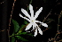  ( - OM1541)  @11 [ ] Unspecified (default): All Rights Reserved  Unspecified Unspecified