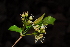 ( - OM1579)  @11 [ ] Unspecified (default): All Rights Reserved  Unspecified Unspecified