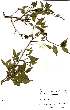  ( - OM1583)  @11 [ ] No Rights Reserved  Unspecified Unspecified
