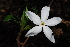  ( - OM1598)  @11 [ ] Unspecified (default): All Rights Reserved  Unspecified Unspecified