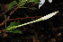  ( - OM1598)  @11 [ ] Unspecified (default): All Rights Reserved  Unspecified Unspecified