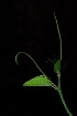  ( - OM1618)  @11 [ ] Unspecified (default): All Rights Reserved  Unspecified Unspecified
