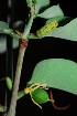  ( - OM1618)  @11 [ ] Unspecified (default): All Rights Reserved  Unspecified Unspecified