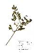  ( - OM1639)  @11 [ ] No Rights Reserved  Unspecified Unspecified