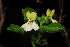  ( - OM1645)  @11 [ ] Unspecified (default): All Rights Reserved  Unspecified Unspecified