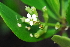  ( - OM1780)  @11 [ ] Unspecified (default): All Rights Reserved  Unspecified Unspecified