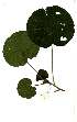  ( - OM1812)  @11 [ ] Unspecified (default): All Rights Reserved  Olivier Maurin Unspecified