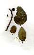  ( - OM1817)  @11 [ ] Unspecified (default): All Rights Reserved  Olivier Maurin Unspecified
