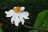  ( - OM1825)  @11 [ ] Unspecified (default): All Rights Reserved  Olivier Maurin Unspecified