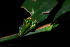 ( - OM1839)  @11 [ ] Unspecified (default): All Rights Reserved  Unspecified Unspecified